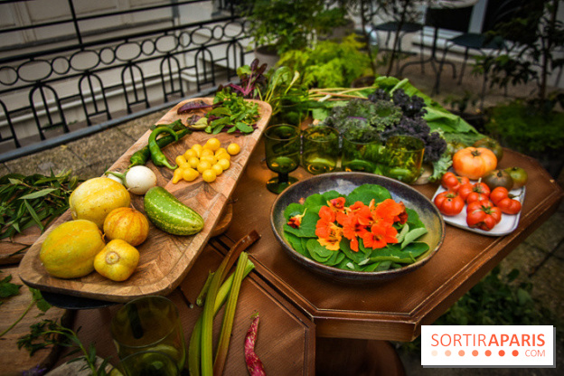 L'Hôtel des Grands Boulevards inaugure son potager suspendu