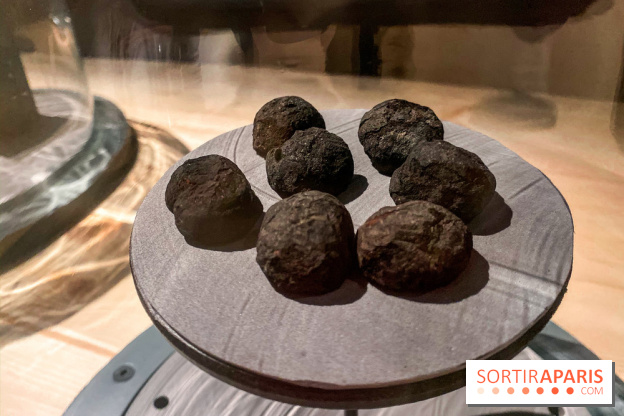 Je mange donc je suis au Musée de l'Homme