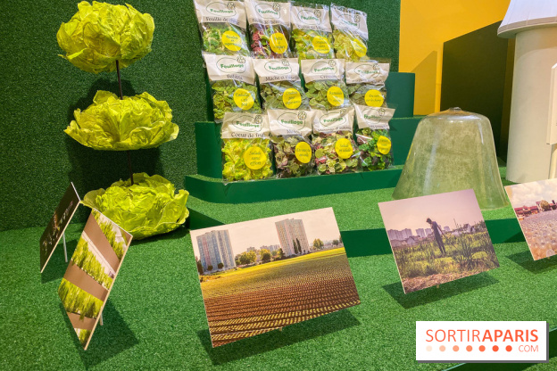 Je mange donc je suis au Musée de l'Homme