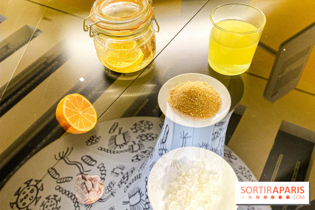 Je mange donc je suis au Musée de l'Homme