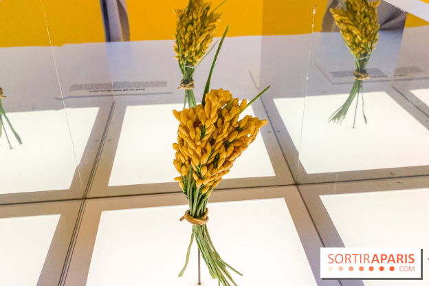 Je mange donc je suis au Musée de l'Homme