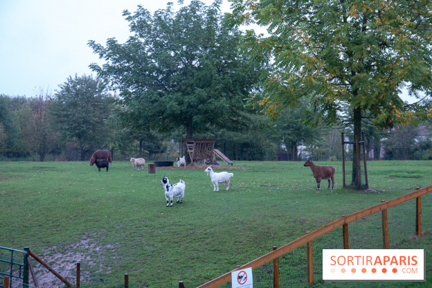 Campanile Val de France : nos photos