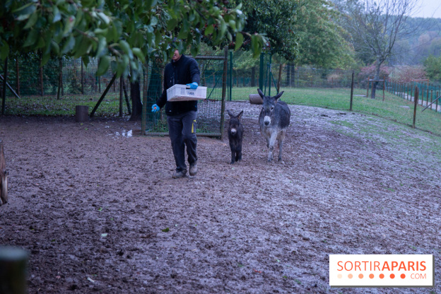 Campanile Val de France : nos photos