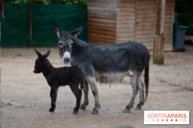 Campanile Val de France : nos photos