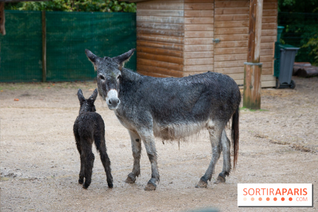 Campanile Val de France : nos photos