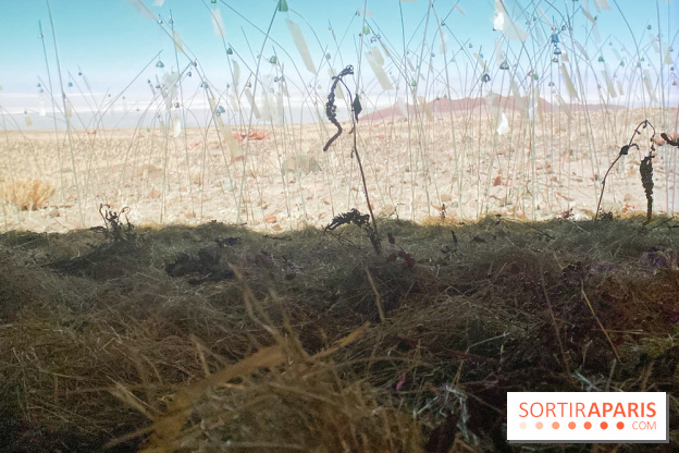 Christian Boltanski, Animitas Chili, 2014