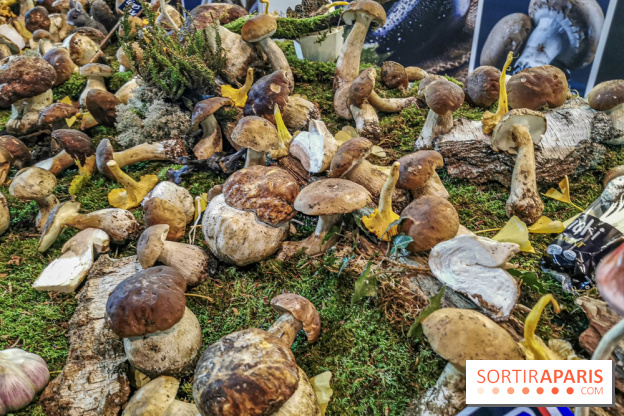 Rungis investit le Grand Palais, les photos 