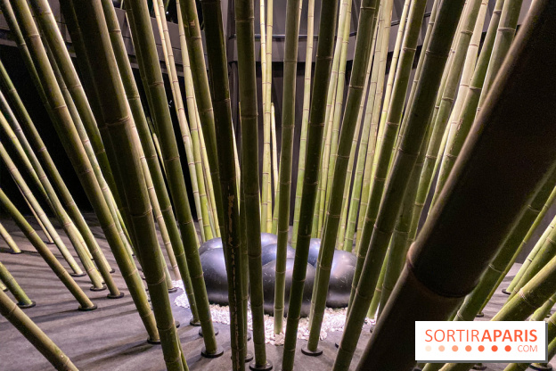 Black Bamboo de Nils-Udo à la Fondation EDF