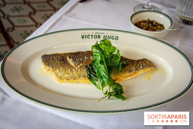 Le renouveau de la Brasserie Victor Hugo à Paris , les photos