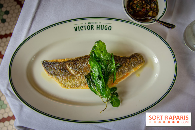Le renouveau de la Brasserie Victor Hugo à Paris , les photos
