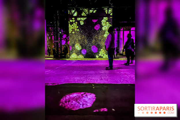 Yves Klein, l’Infini Bleu -  l’album photo