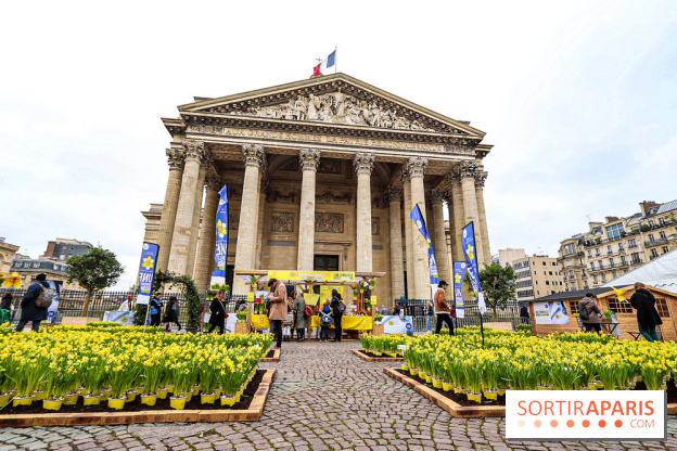 Une Jonquille pour Curie au Panthéon