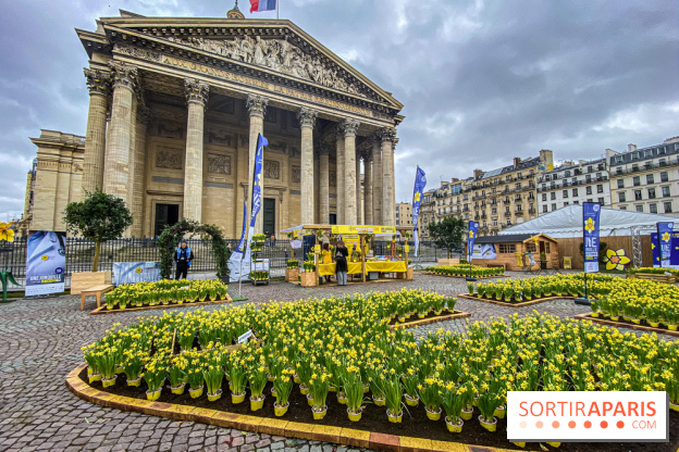 Une Jonquille pour Curie au Panthéon