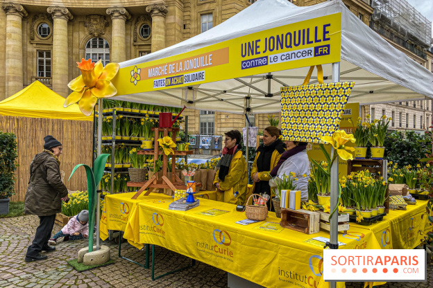 Une Jonquille pour Curie au Panthéon