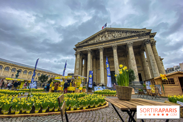 Une Jonquille pour Curie au Panthéon