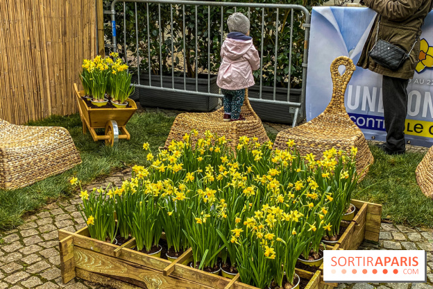 Une Jonquille pour Curie au Panthéon
