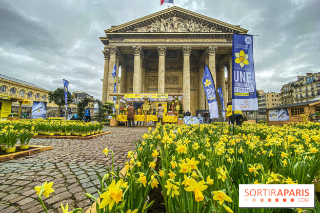Une Jonquille pour Curie au Panthéon