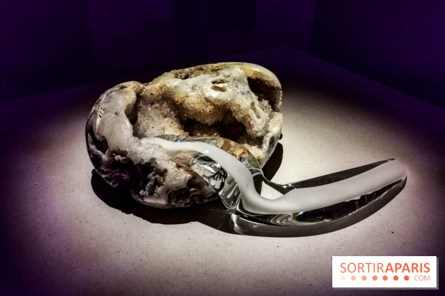 Rachel Rose, l'exposition gratuite à Lafayette Anticipations