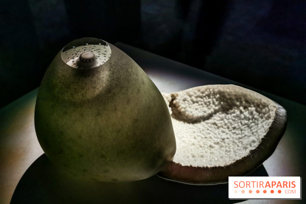 Rachel Rose, l'exposition gratuite à Lafayette Anticipations