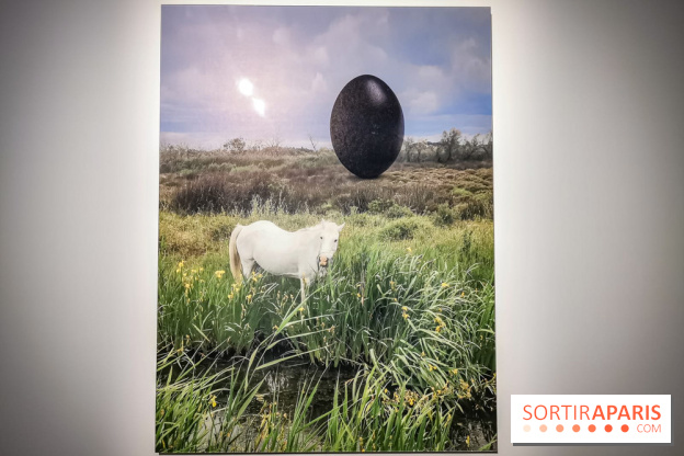 Rachel Rose, l'exposition gratuite à Lafayette Anticipations