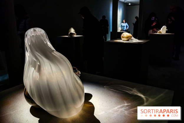 Rachel Rose, l'exposition gratuite à Lafayette Anticipations