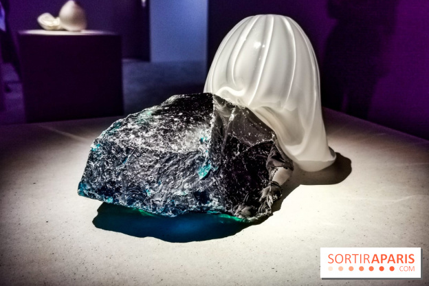 Rachel Rose, l'exposition gratuite à Lafayette Anticipations