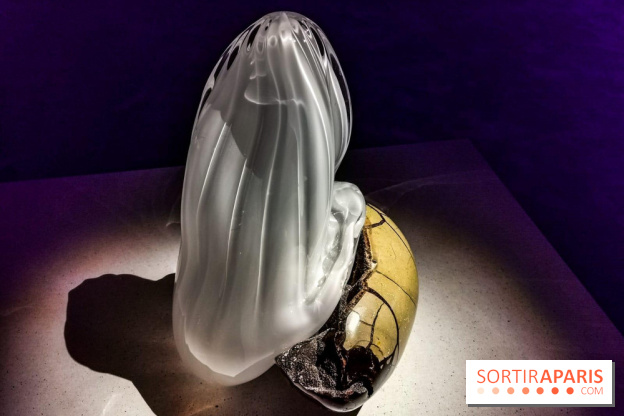 Rachel Rose, l'exposition gratuite à Lafayette Anticipations