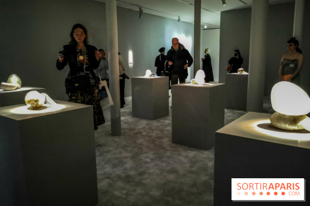 Rachel Rose, l'exposition gratuite à Lafayette Anticipations