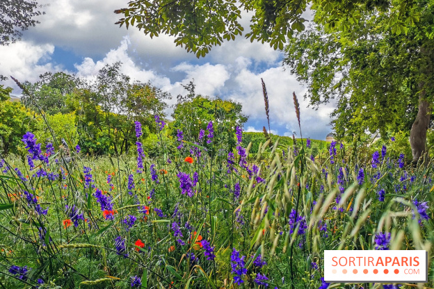 Visuel Paris Jardin des Plantes - Muséum MNHN