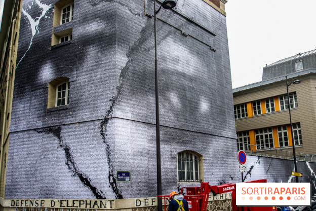 Hommage à Adama Traoré : l'artiste JR dévoile un collage géant à Paris, les photos