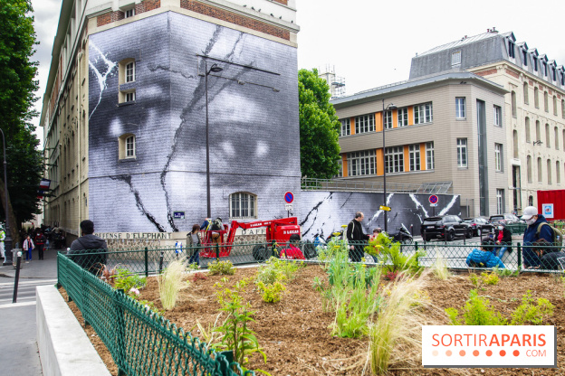 Hommage à Adama Traoré : l'artiste JR dévoile un collage géant à Paris, les photos