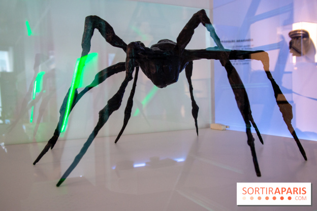 Araignées, Lucioles et Papillons au Musée en Herbe : nos photos