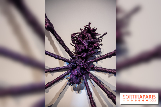 Araignées, Lucioles et Papillons au Musée en Herbe : nos photos