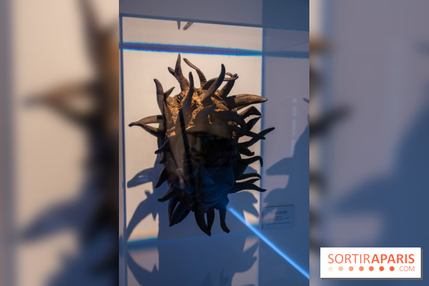 Araignées, Lucioles et Papillons au Musée en Herbe : nos photos