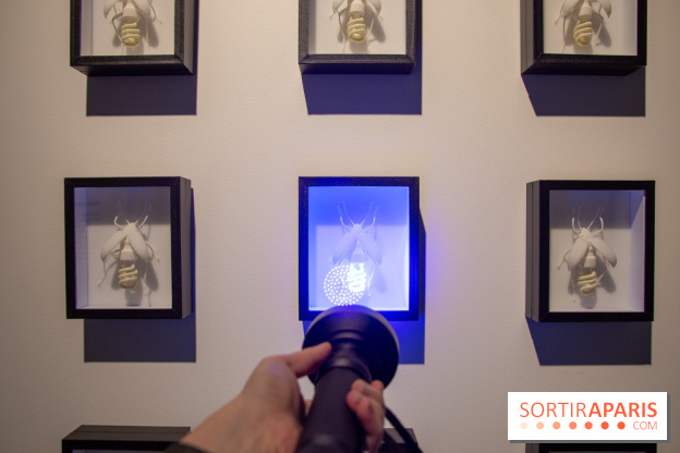 Araignées, Lucioles et Papillons au Musée en Herbe : nos photos