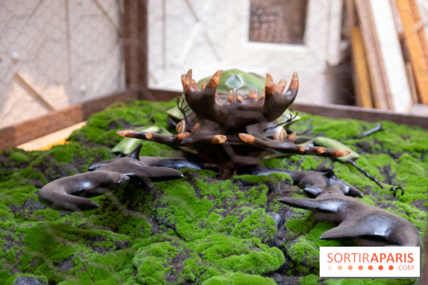 Araignées, Lucioles et Papillons au Musée en Herbe : nos photos