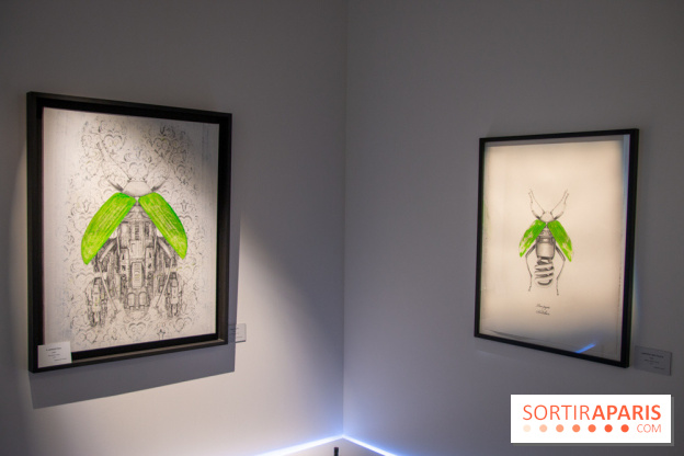 Araignées, Lucioles et Papillons au Musée en Herbe : nos photos