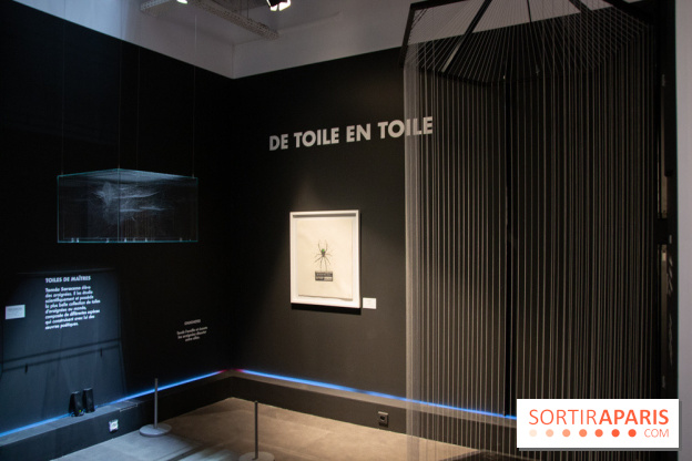 Araignées, Lucioles et Papillons au Musée en Herbe : nos photos