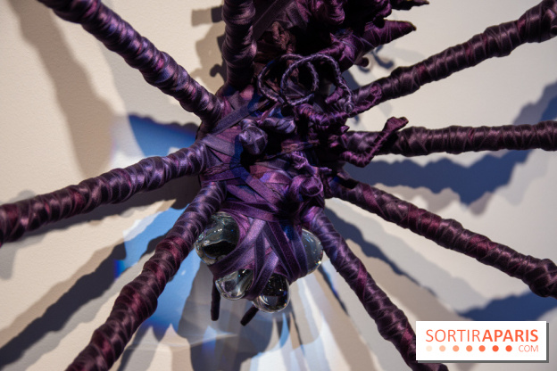 Araignées, Lucioles et Papillons au Musée en Herbe : nos photos