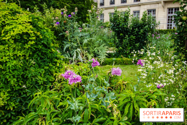 Le jardin des Arts-Albert Schweitzer à Paris, les photos