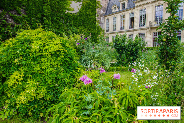 Le jardin des Arts-Albert Schweitzer à Paris, les photos