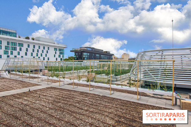 Le Perchoir ferme urbaine Porte de Versailles
