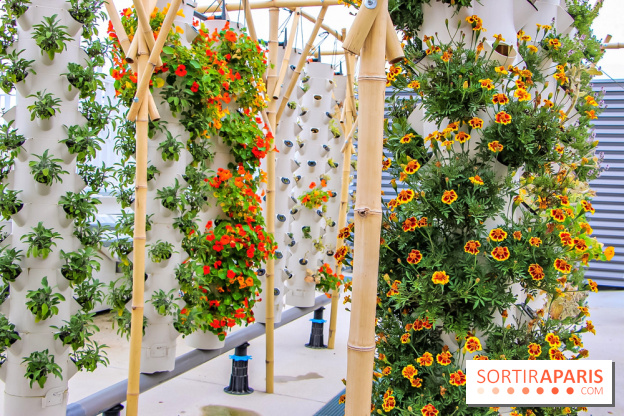 Le Perchoir ferme urbaine Porte de Versailles