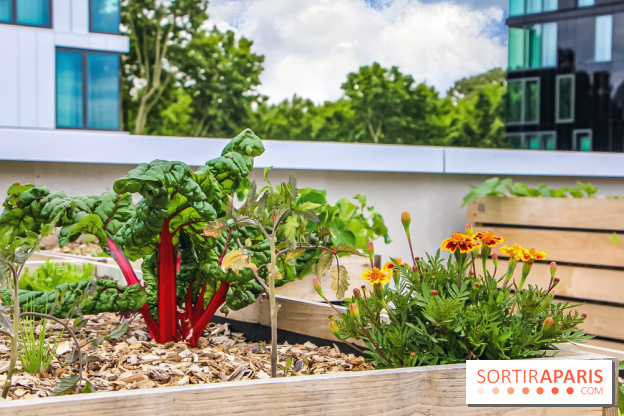 Le Perchoir ferme urbaine Porte de Versailles