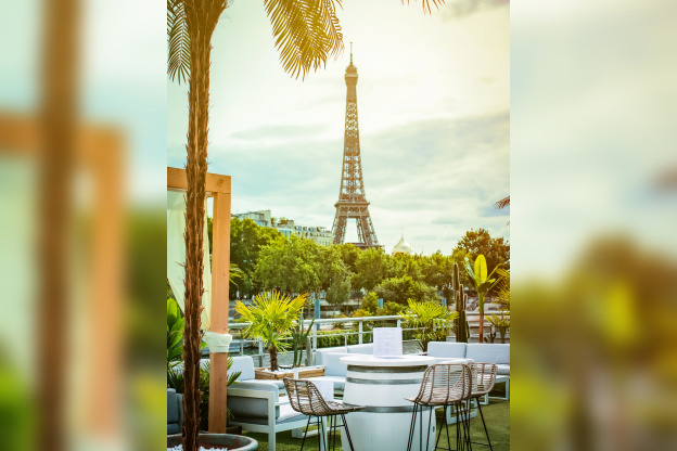 Mademoiselle Mouche 2020