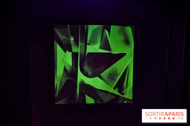 Vision d'ensemble, l'exposition à Fluctuart - nos photos