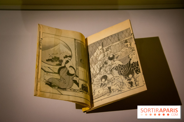 Fuji, pays de neige, l'exposition au musée Guimet - nos photos