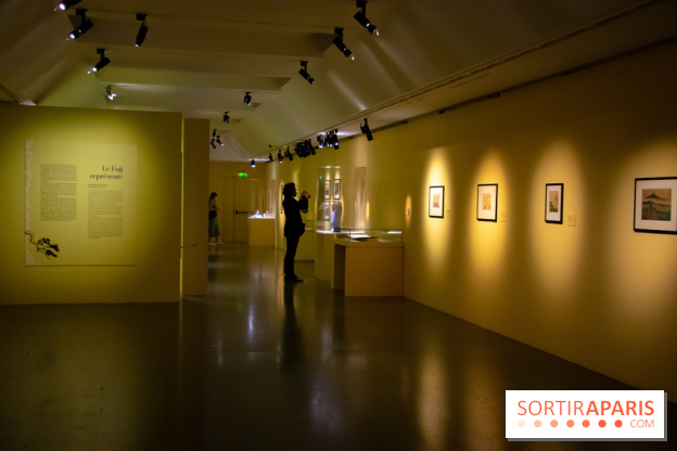 Fuji, pays de neige, l'exposition au musée Guimet - nos photos