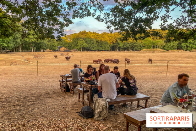 Photos du Dîner Safari du Zoo de Thoiry