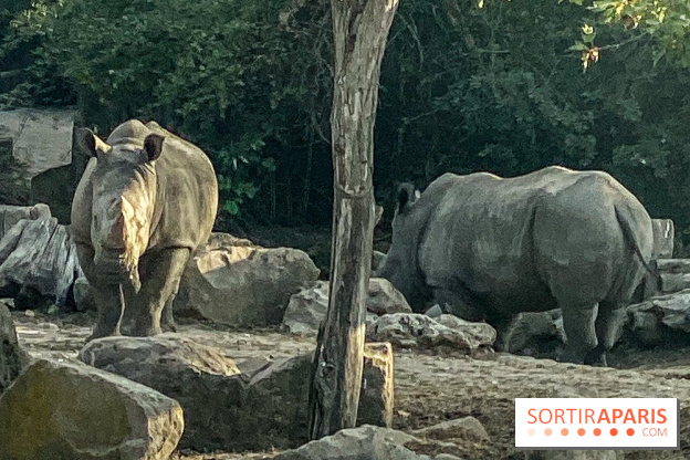 Photos du Dîner Safari du Zoo de Thoiry